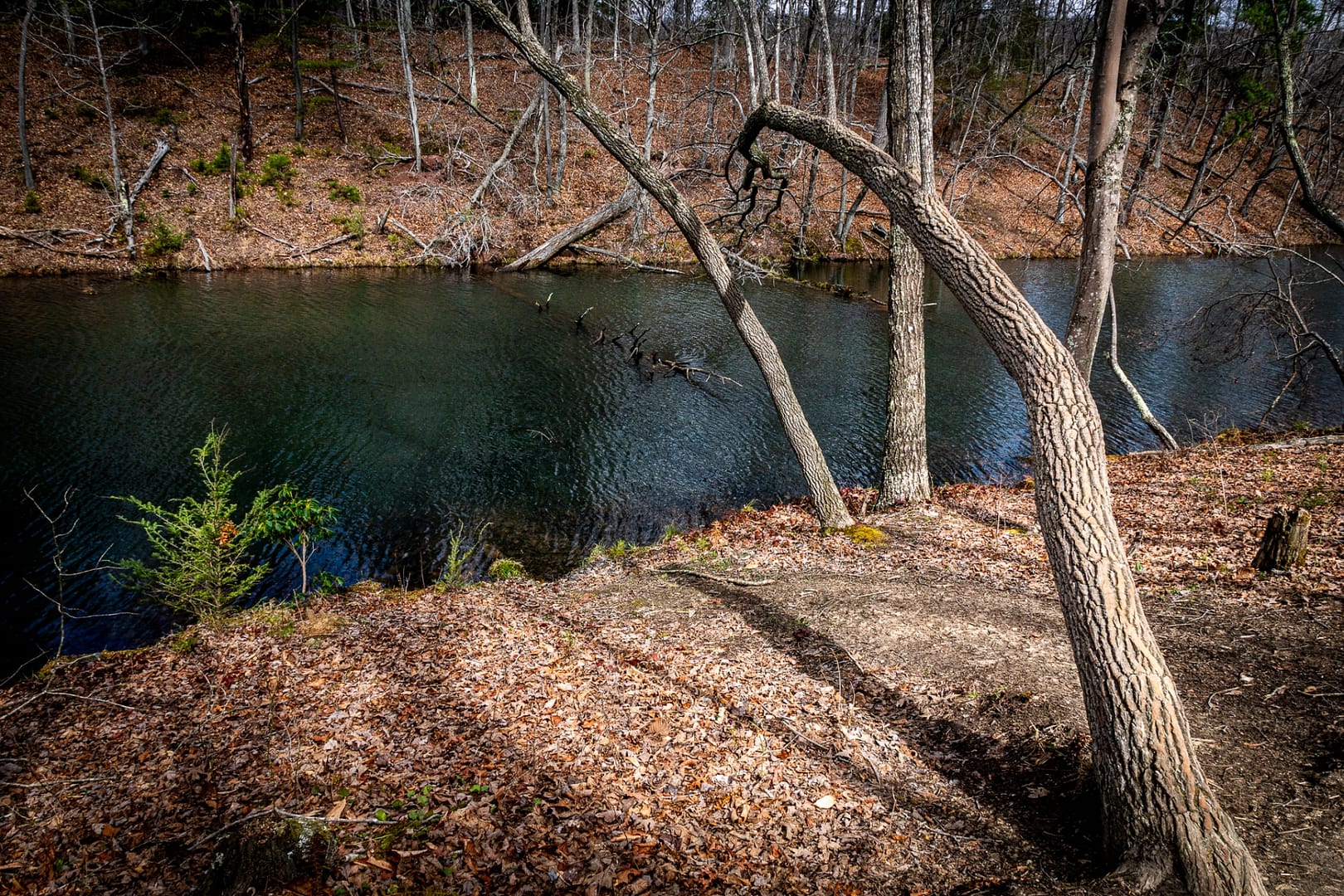 Bays-Mountain-Park-Tennessee-22