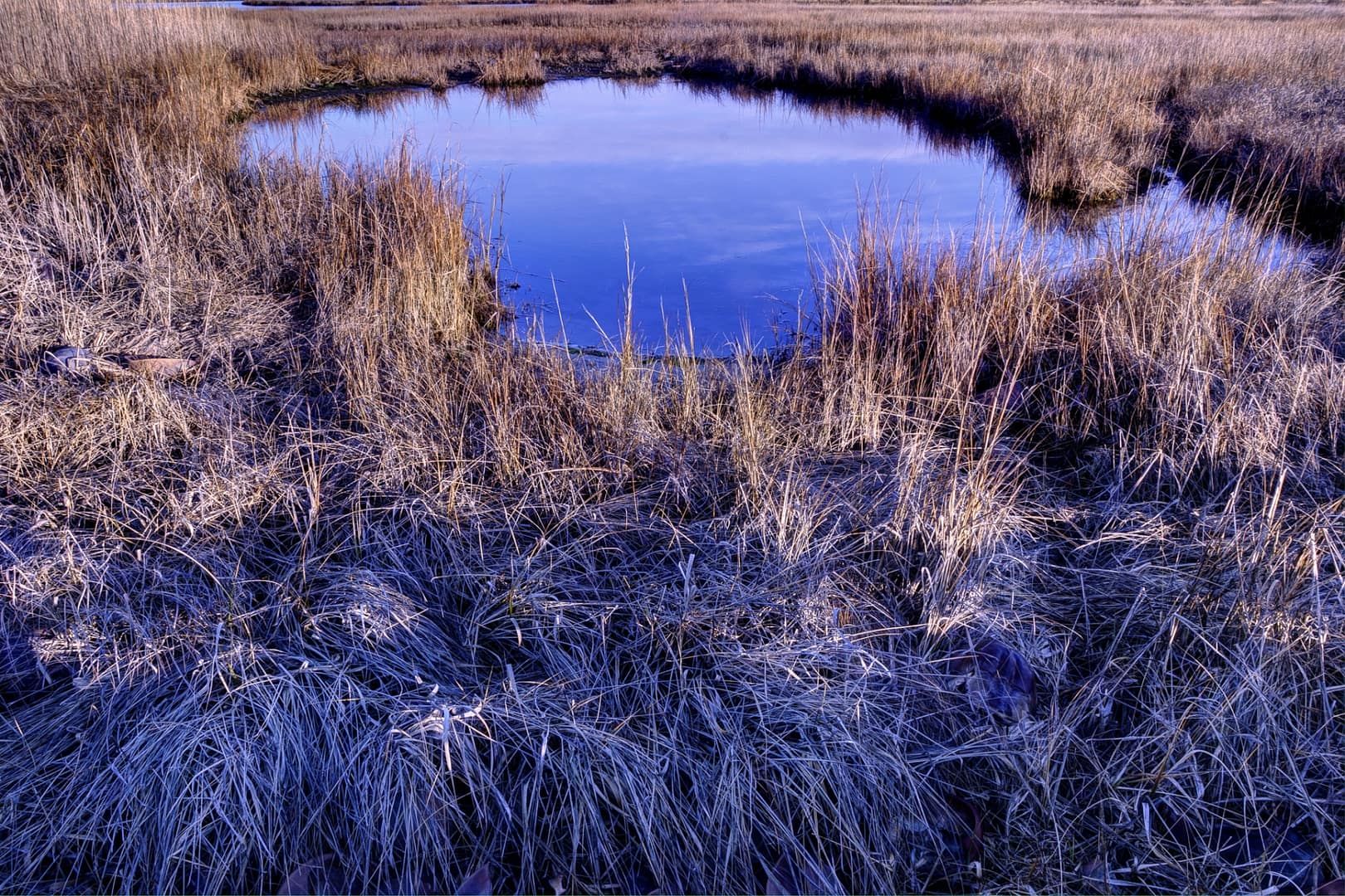 Burton-Island-