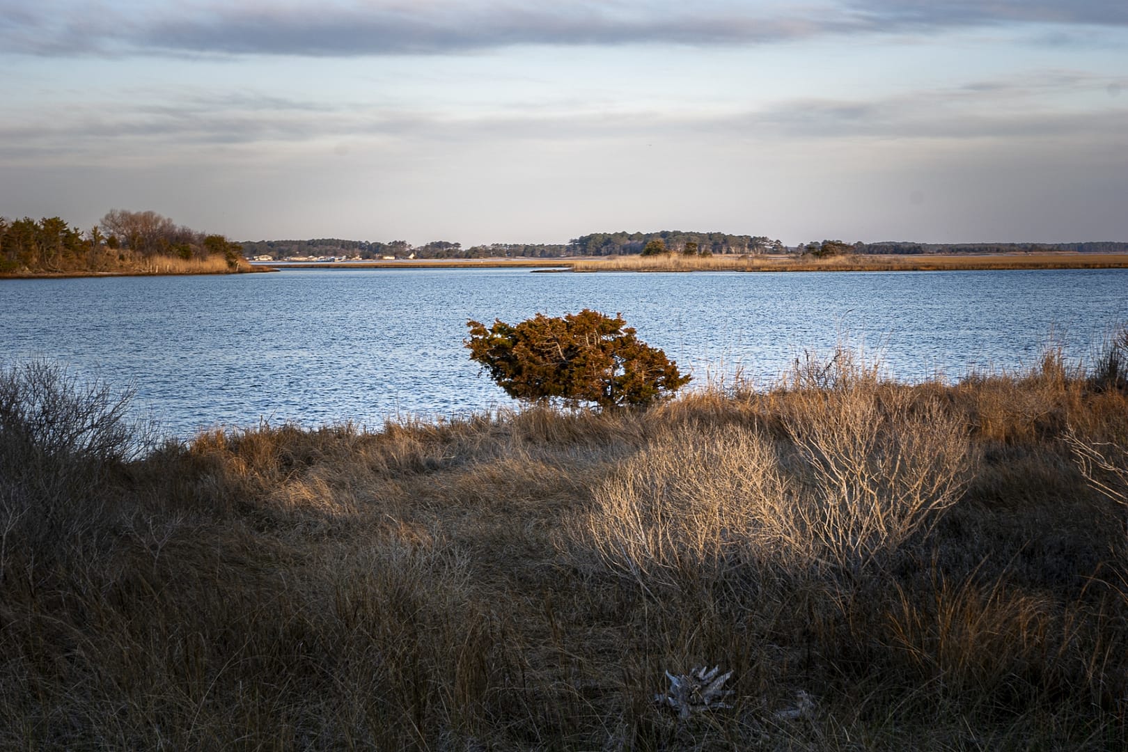 Burton-Island-2782