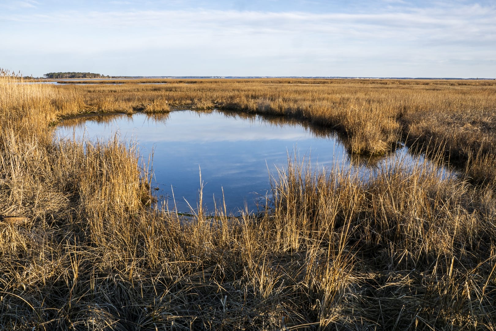 Burton-Island-2798