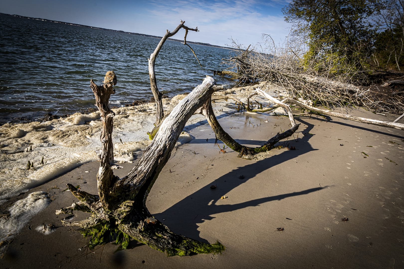 Burton-Island-2864