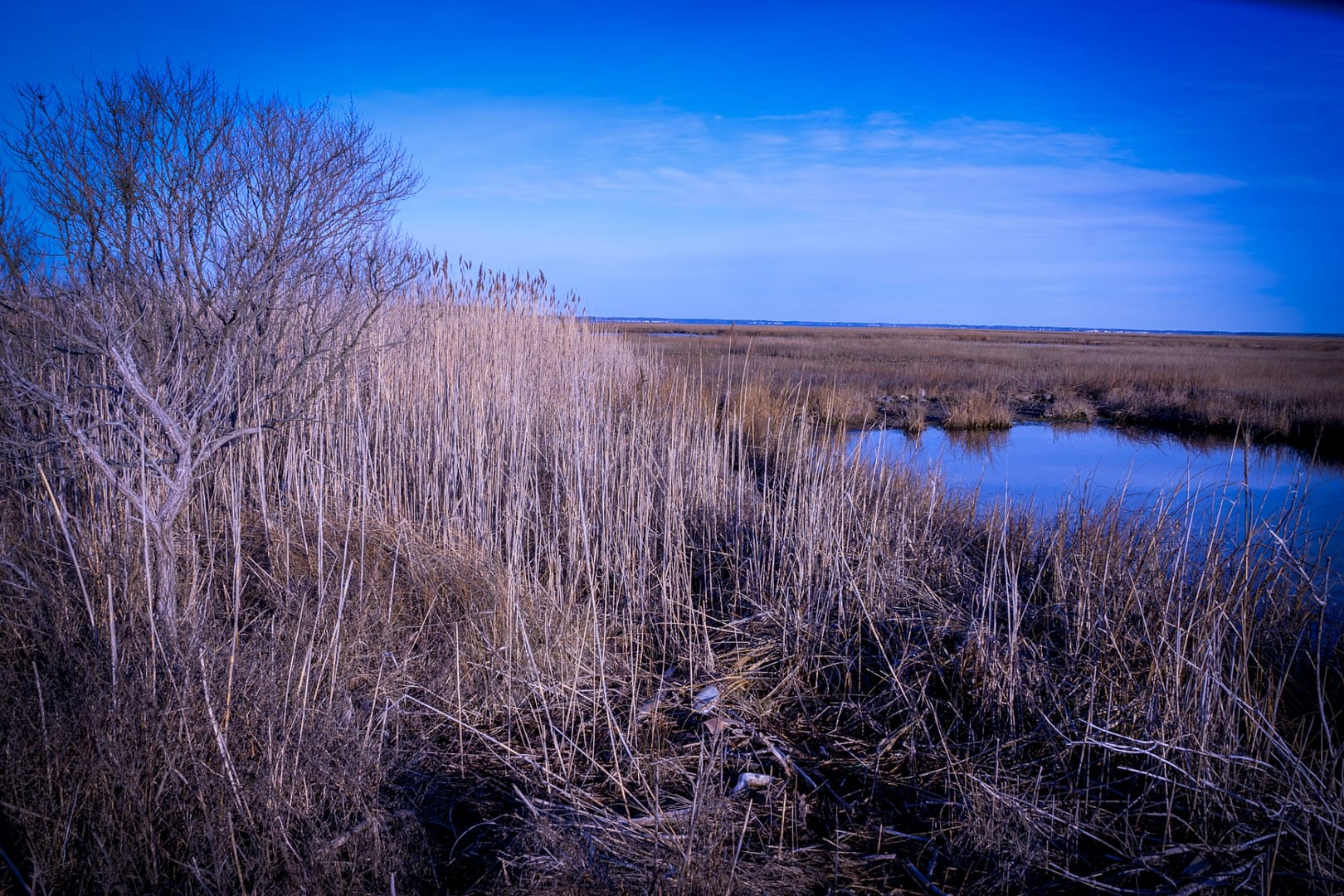 Burton-Island-3