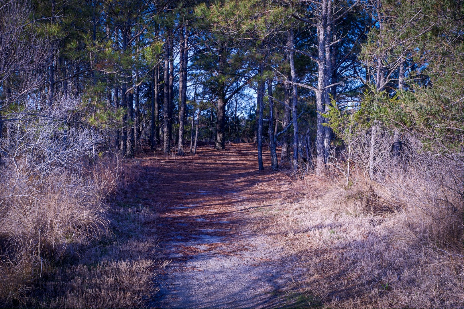 Burton-Island-5