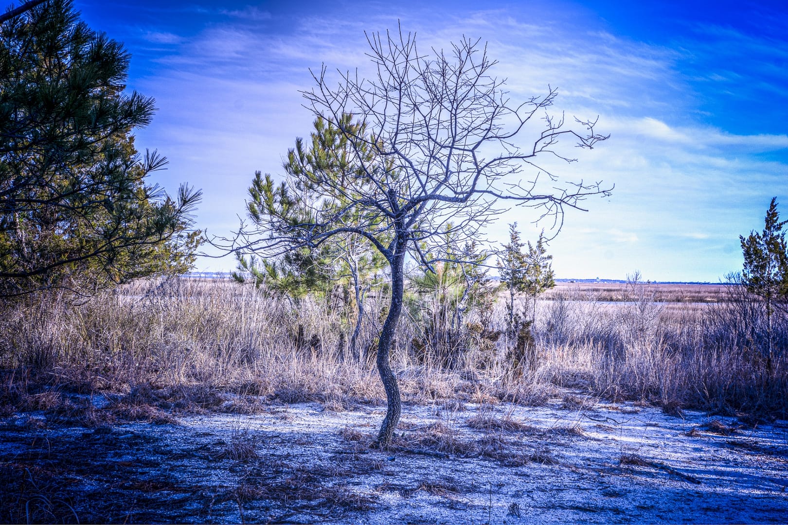 Burton-Island-6