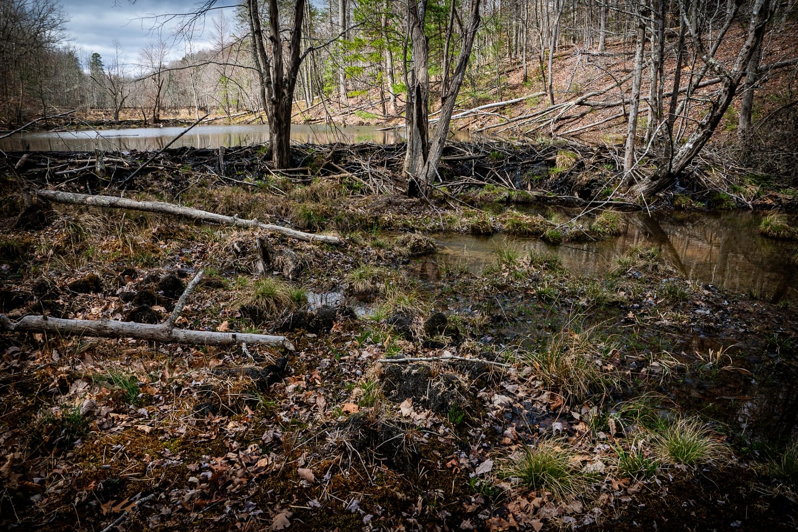 Bays-Mountain-Park-Tennessee-27