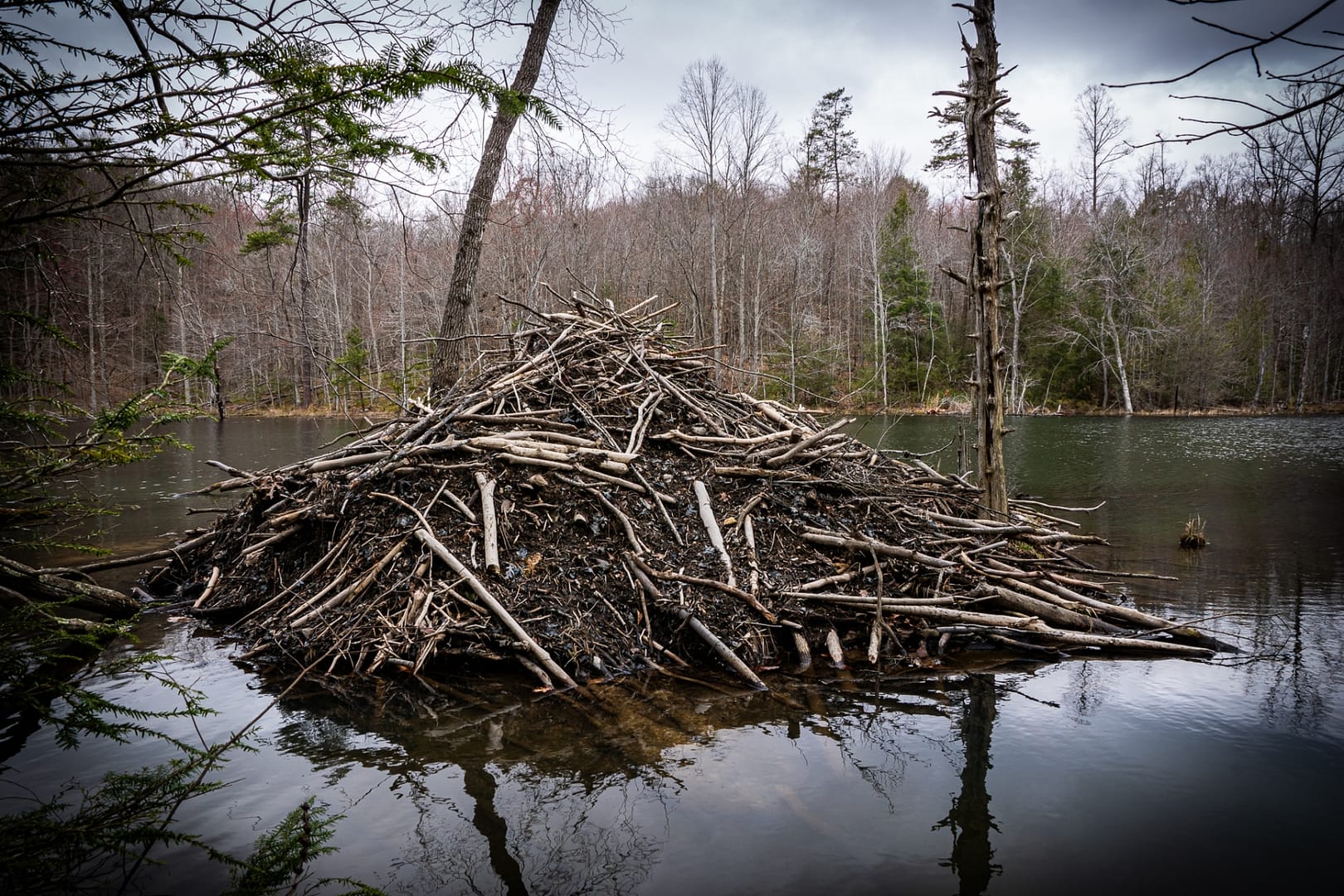 Bays-Mountain-Park-Tennessee-40