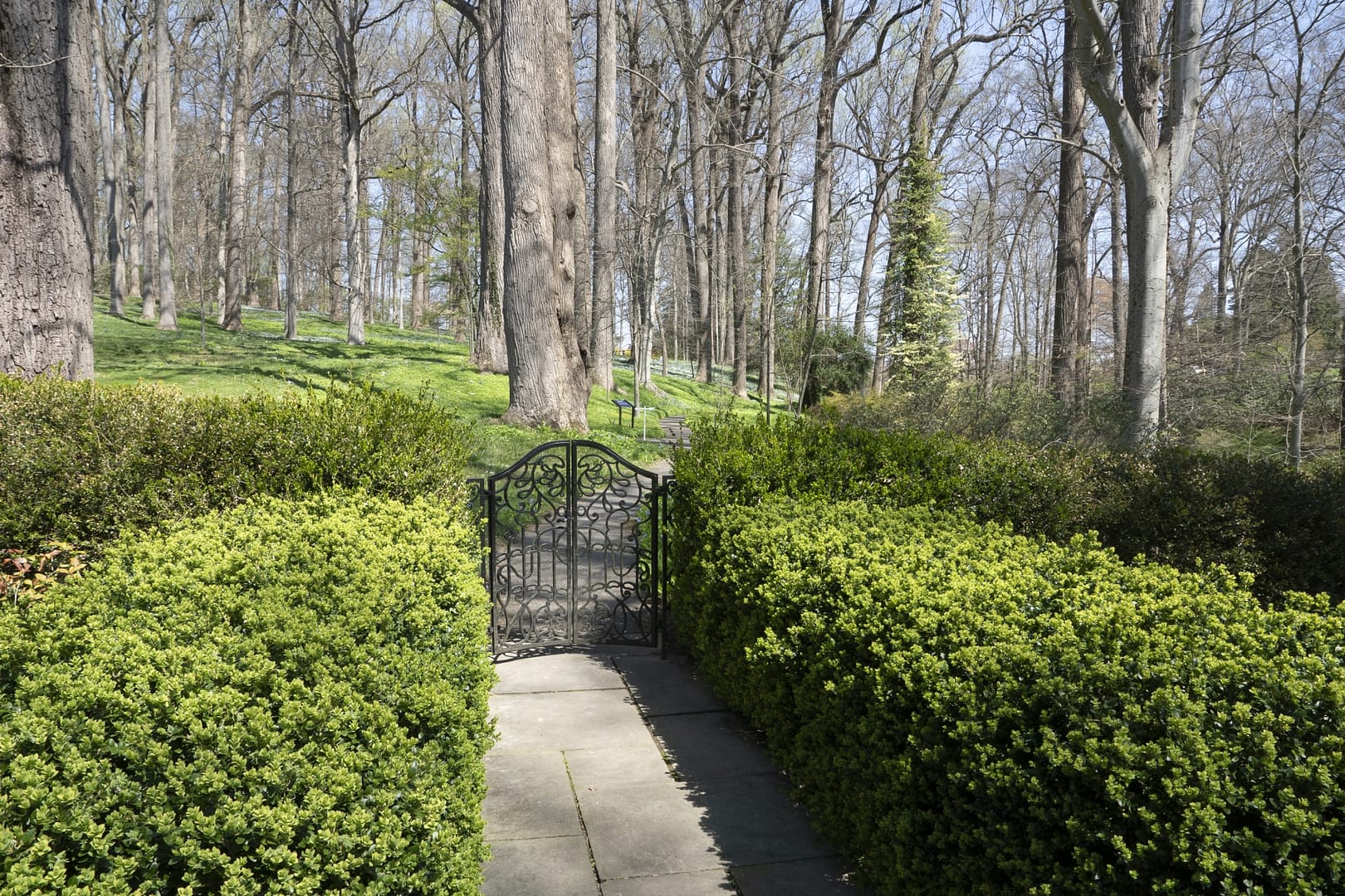 Winterthur-Estate-8898