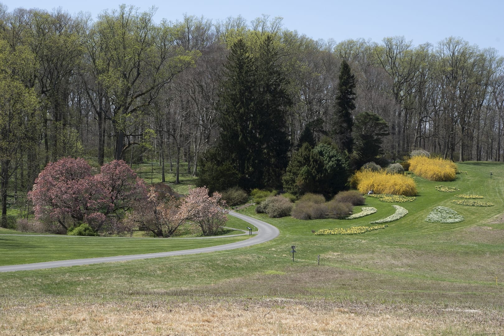 Winterthur-Estate-8971