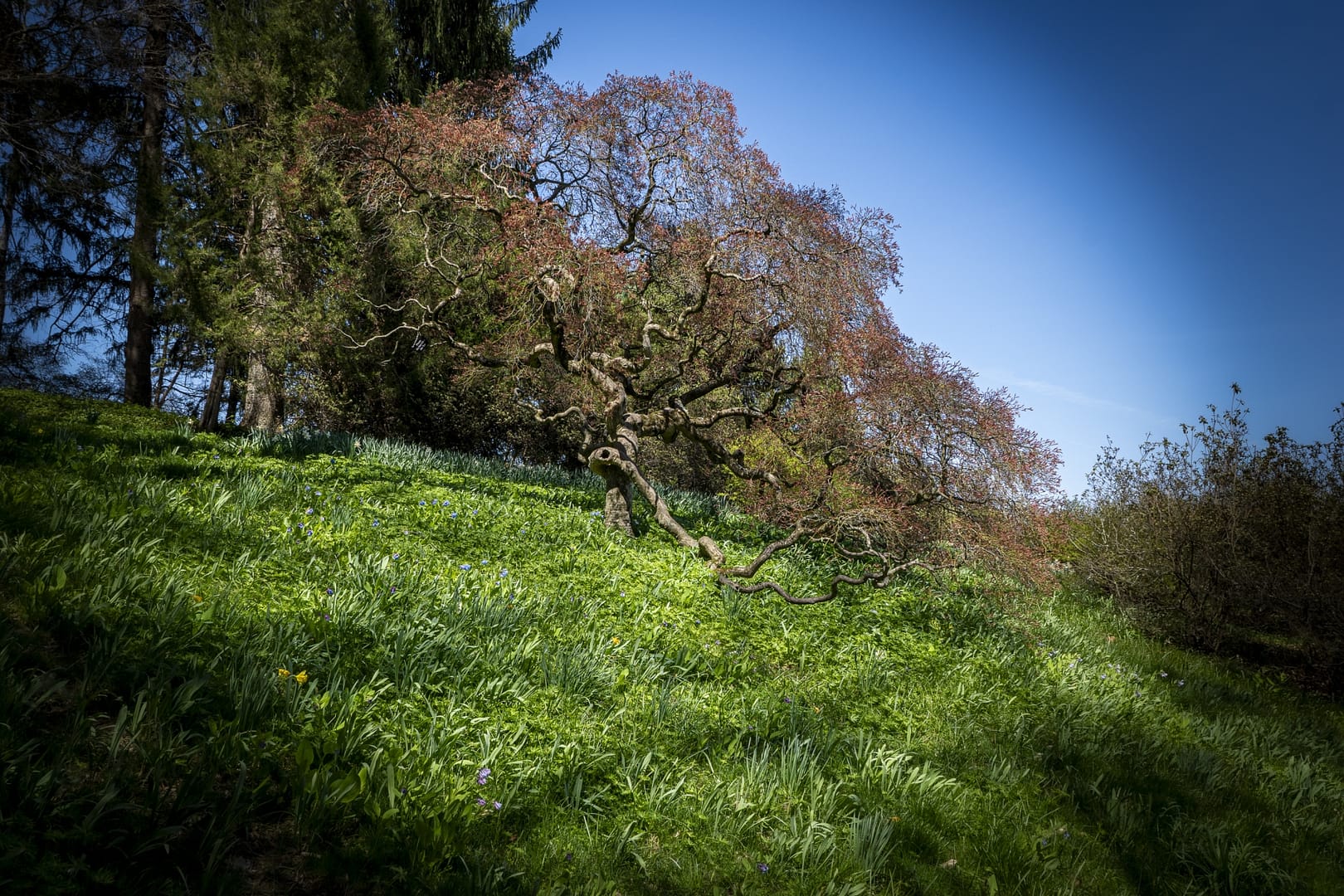 Winterthur-Estate-8992