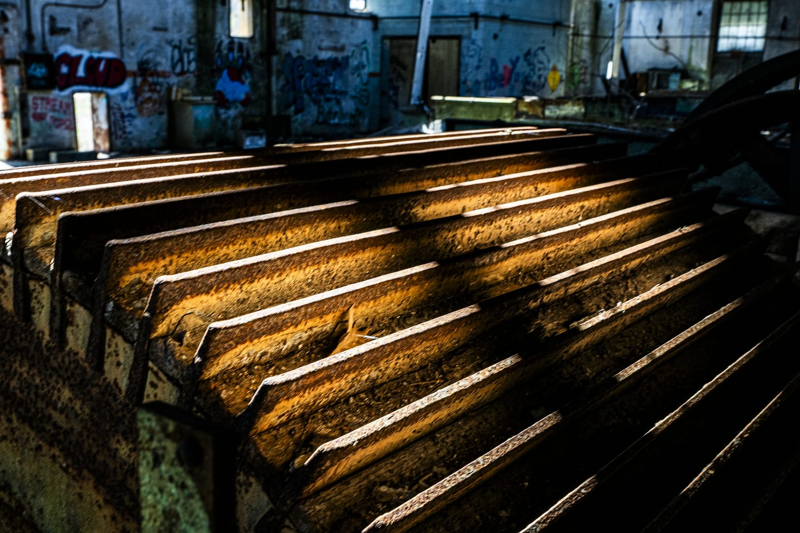 Yorklyn-8615
