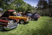 McDade-Car-Show-16