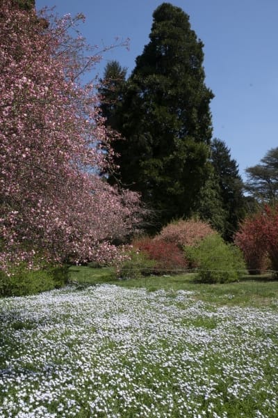 Winterthur-Estate-8957