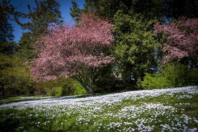 Winterthur-Estate-8954