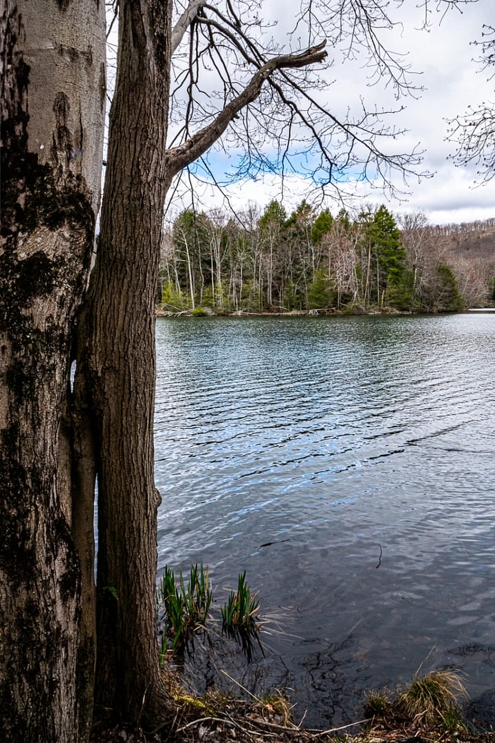 Bays-Mountain-Park-Tennessee-18