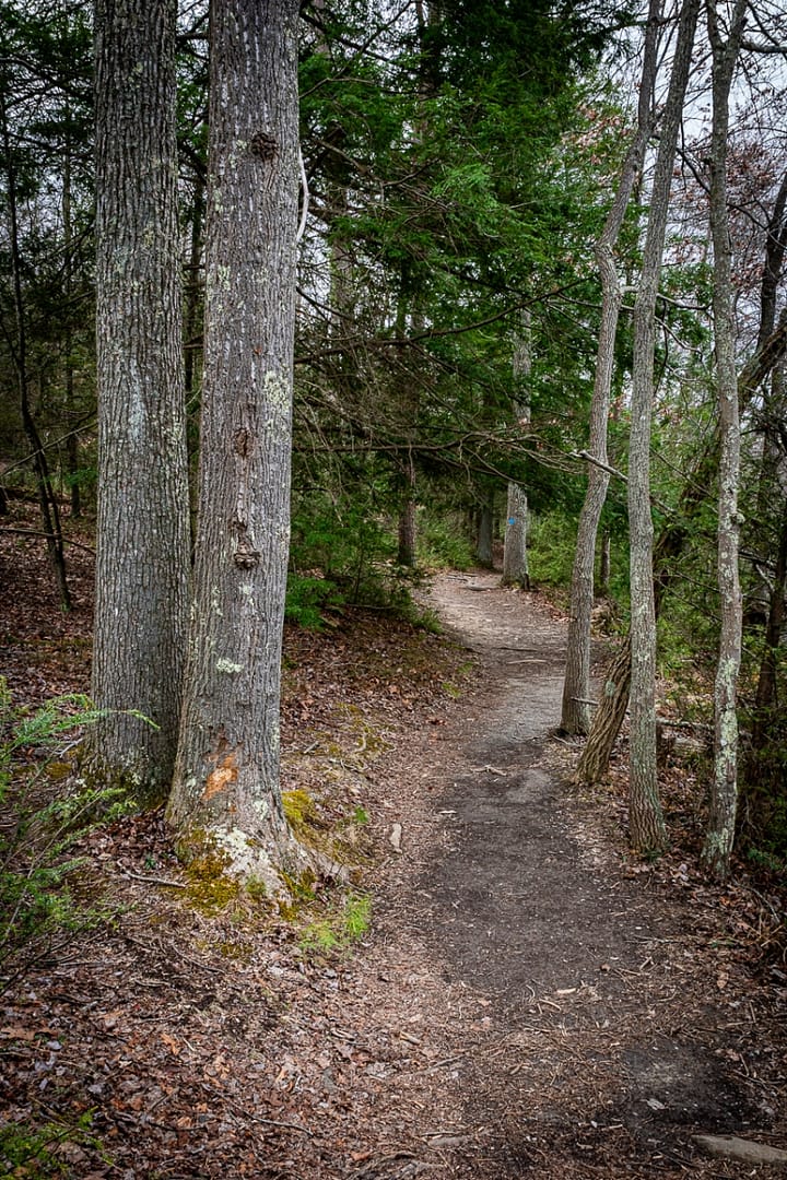 Bays-Mountain-Park-Tennessee-19