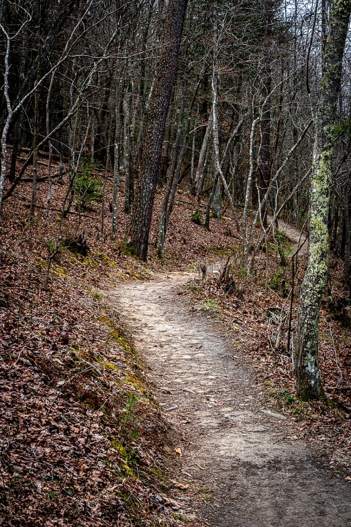 Bays-Mountain-Park-Tennessee-23