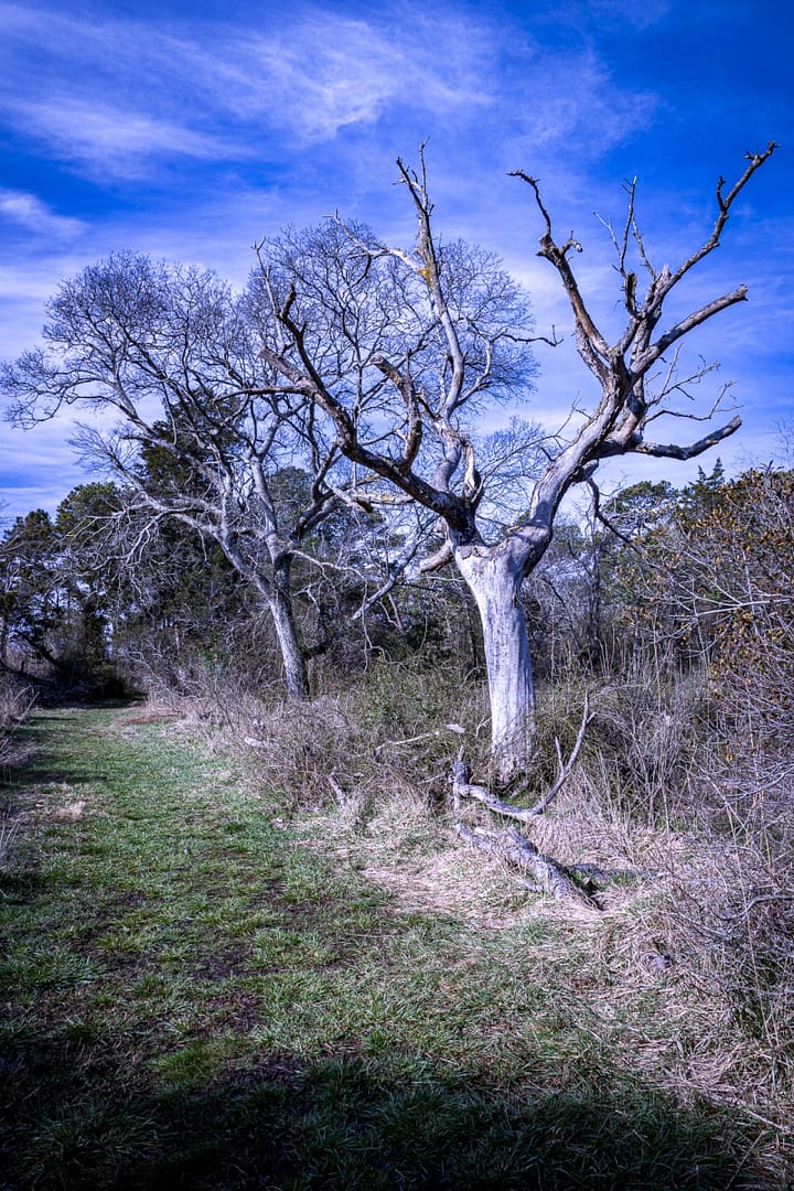 Burton-Island-2894