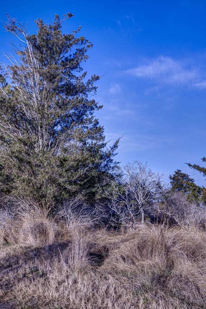 Burton-Island-4