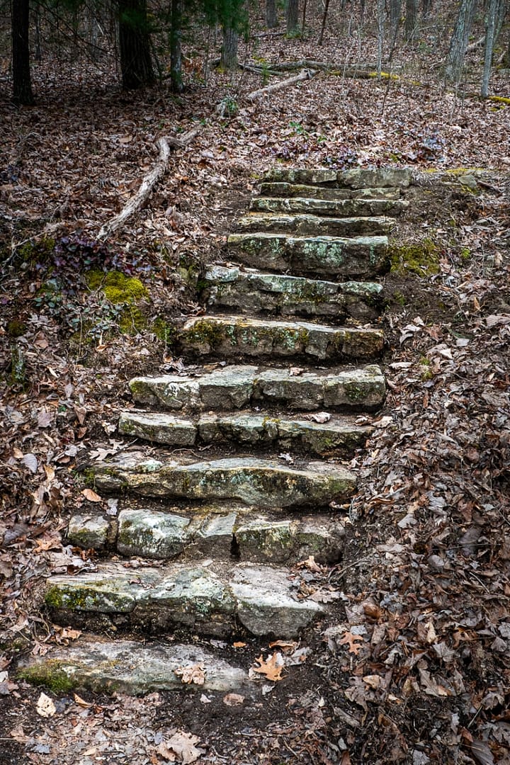 Bays-Mountain-Park-Tennessee-37