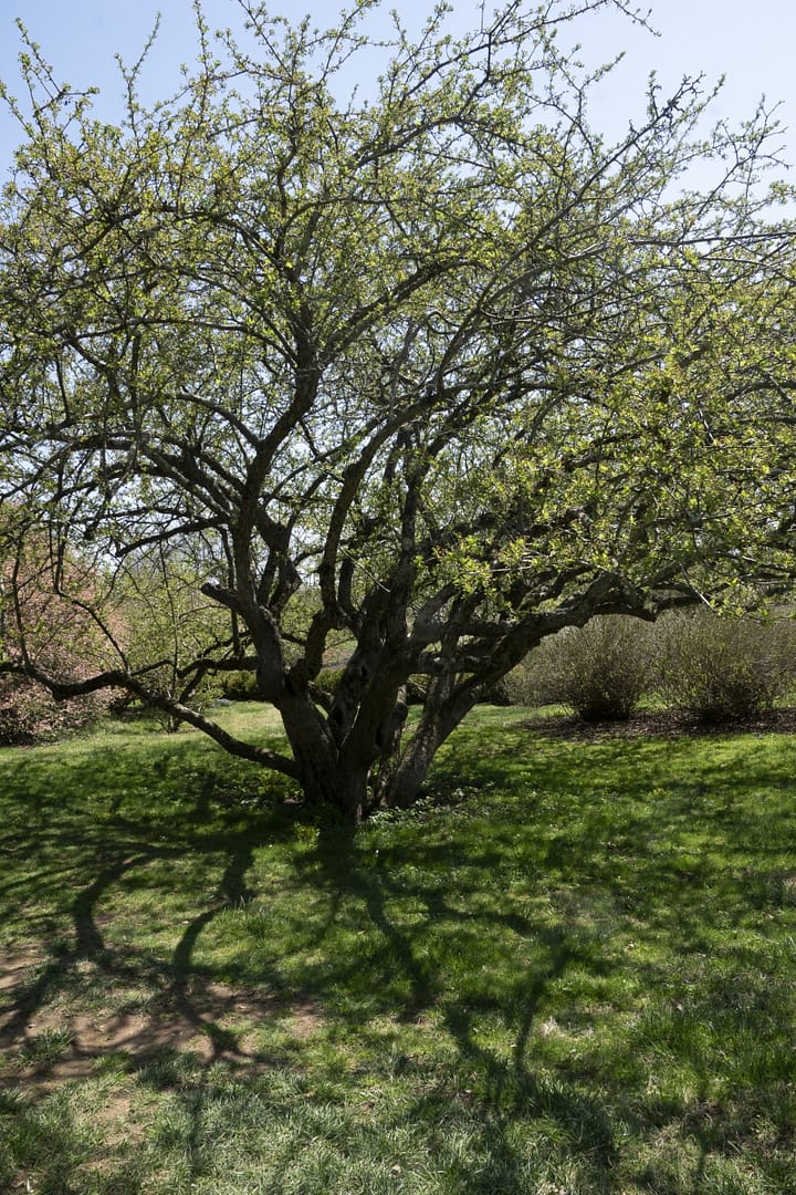 Winterthur-Estate-8959