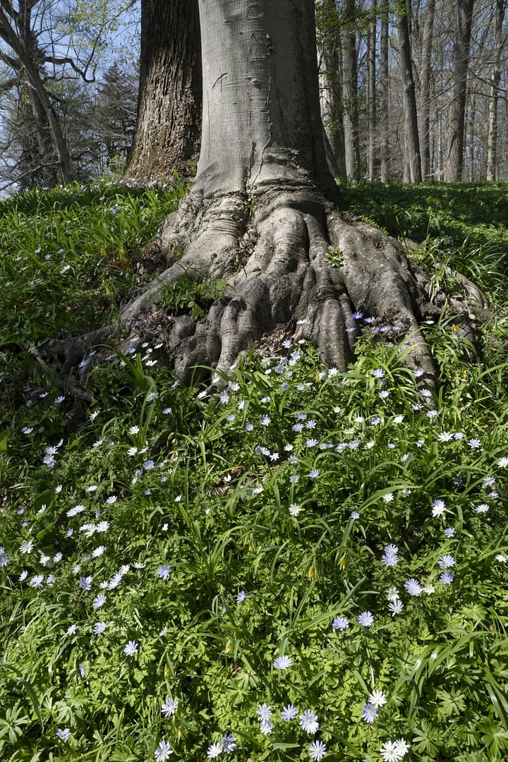 Winterthur-Estate-8998