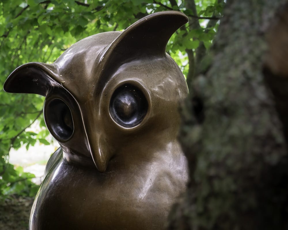 Grounds-for-Sculpture-72